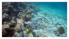 f-2025_0326_113254_041