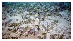 f-2025_0404_101939_493