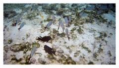 f-2025_0404_101943_494