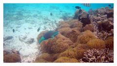 f-2025_0404_104038_532