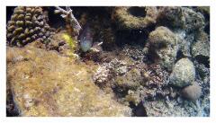 f-2025_0405_122538_730