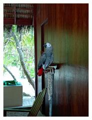 f-l-IMG_20250330_102817