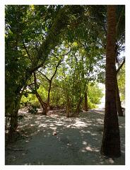 f-l-IMG_20250405_093113